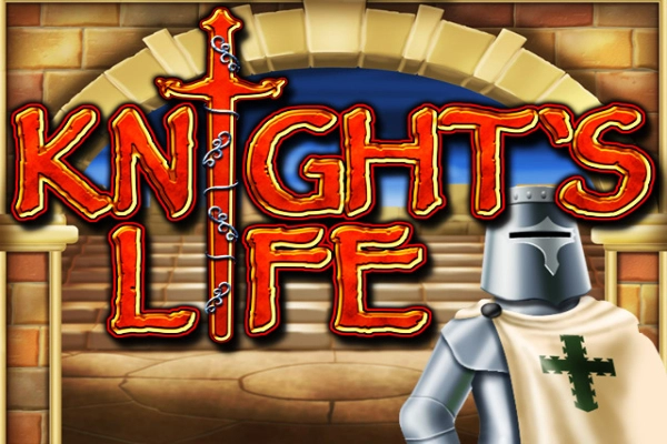 13847 knights life