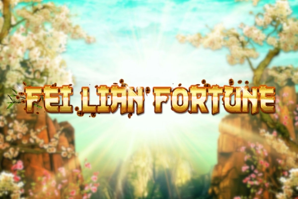 21145 fei lian fortune