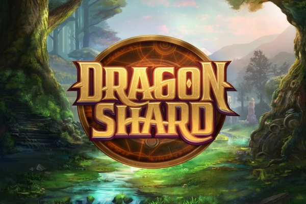 23328 dragon shard